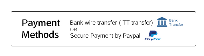 tt-transfer paypal