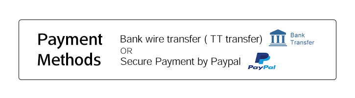 tt-transfer paypal