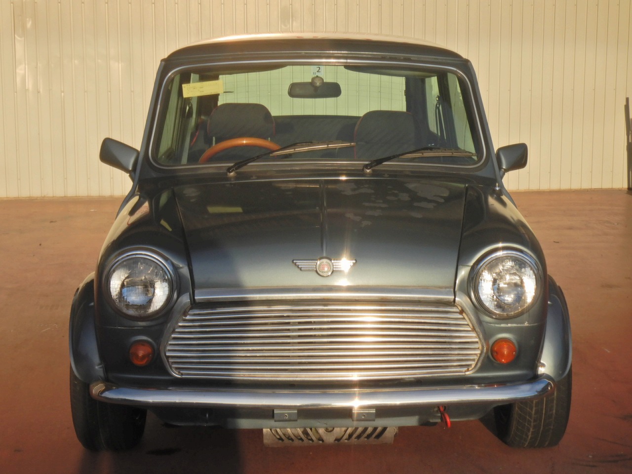 ROVER MINI