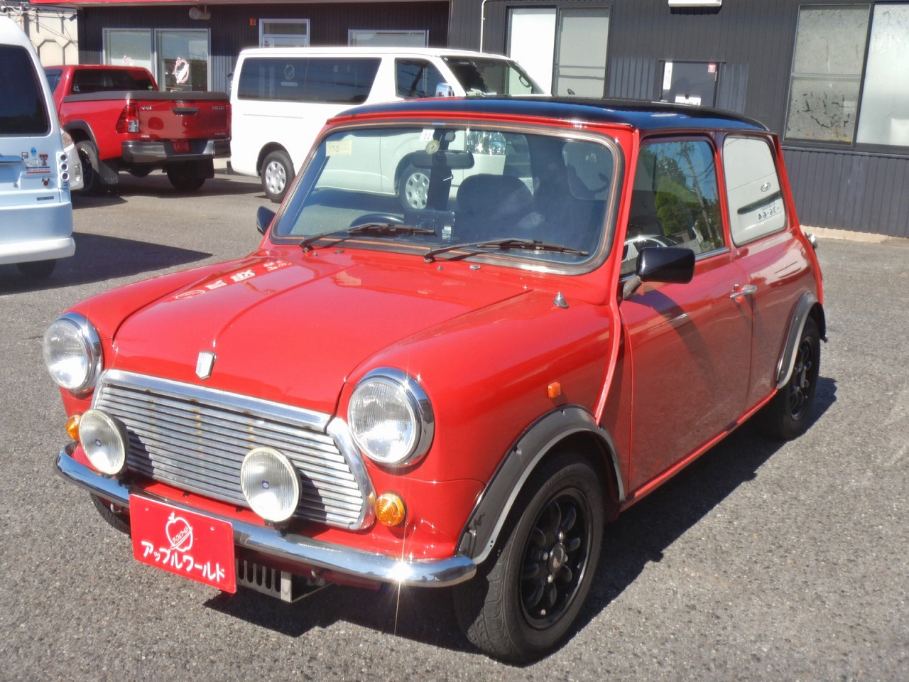 ROVER MINI