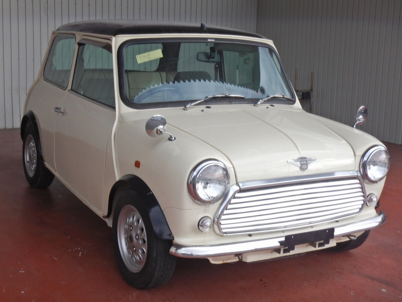 ROVER MINI