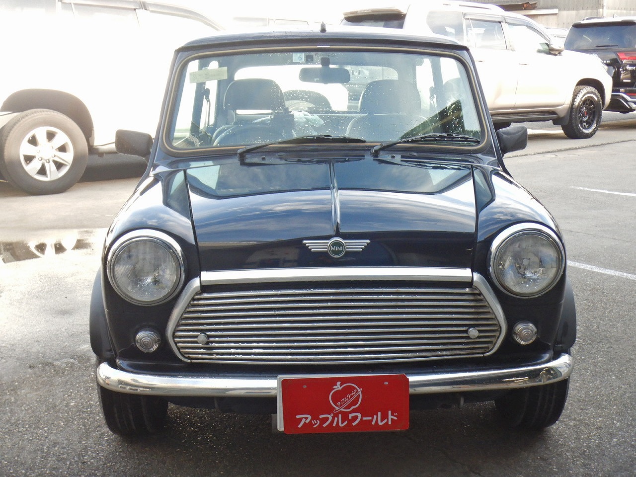 ROVER MINI