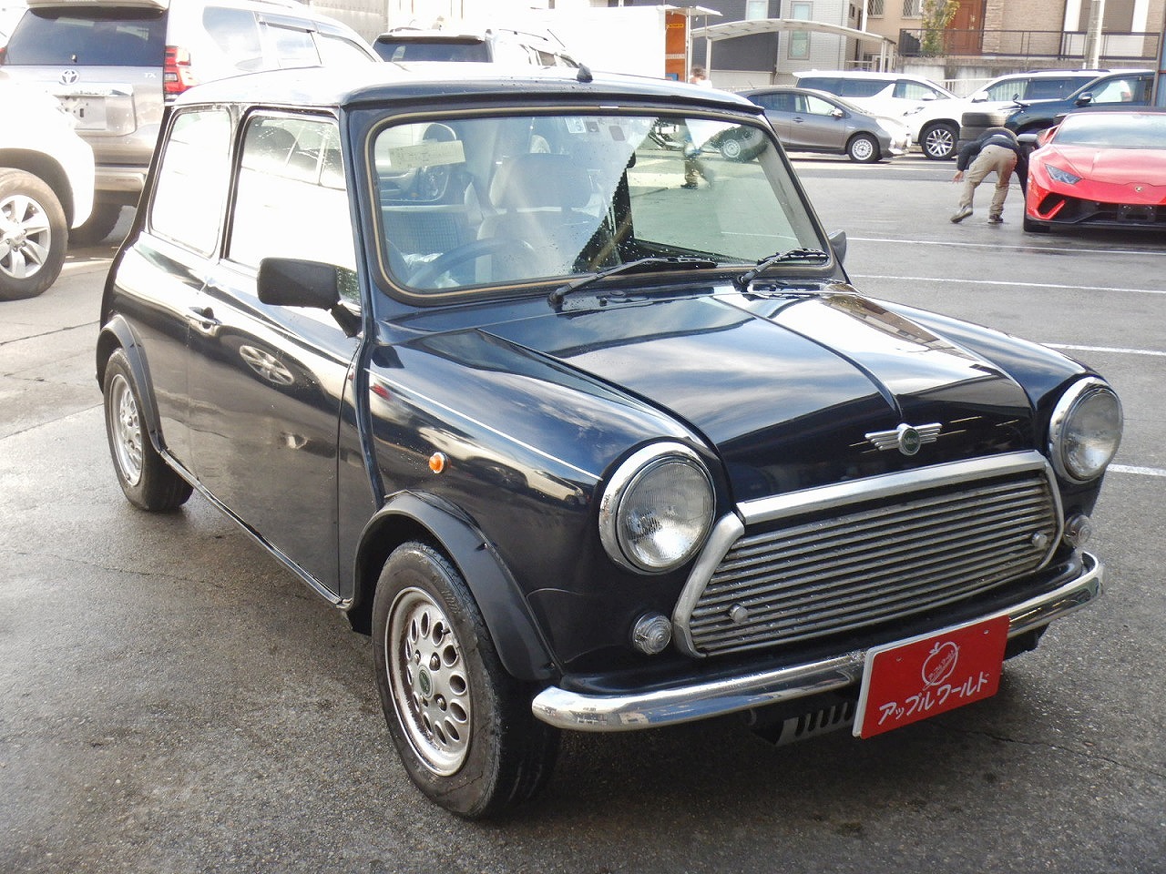 ROVER MINI