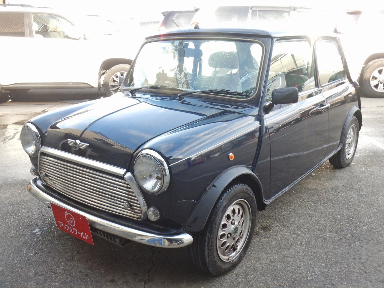 ROVER MINI