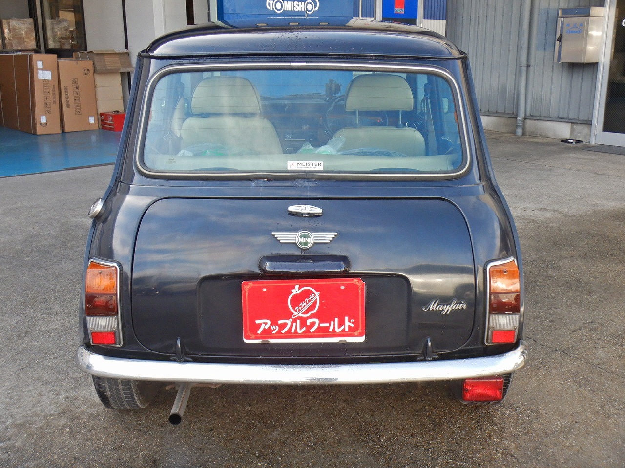 ROVER MINI