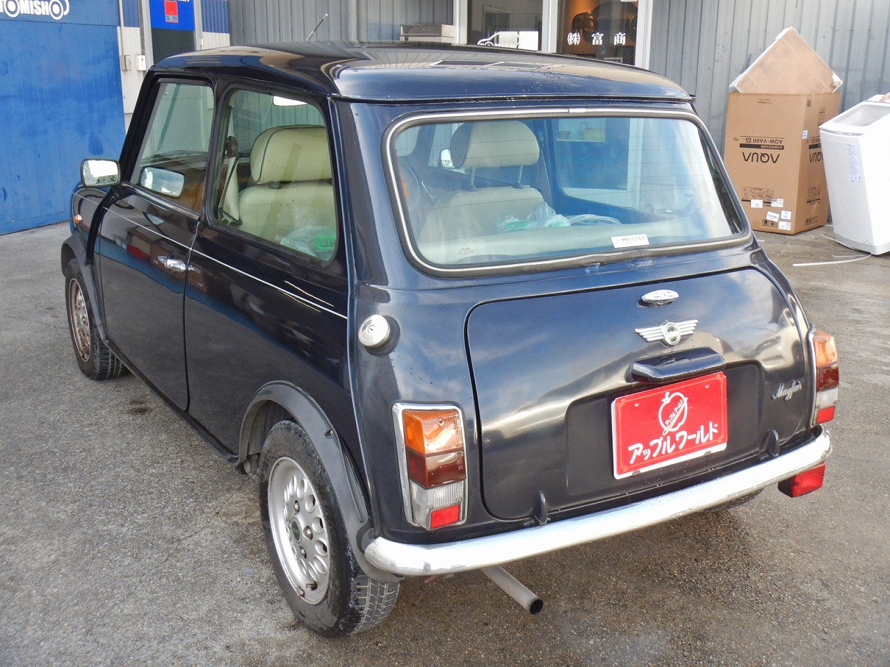 ROVER MINI