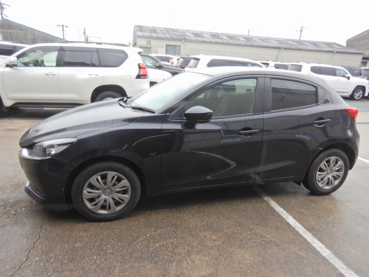 MAZDA Mazda 2